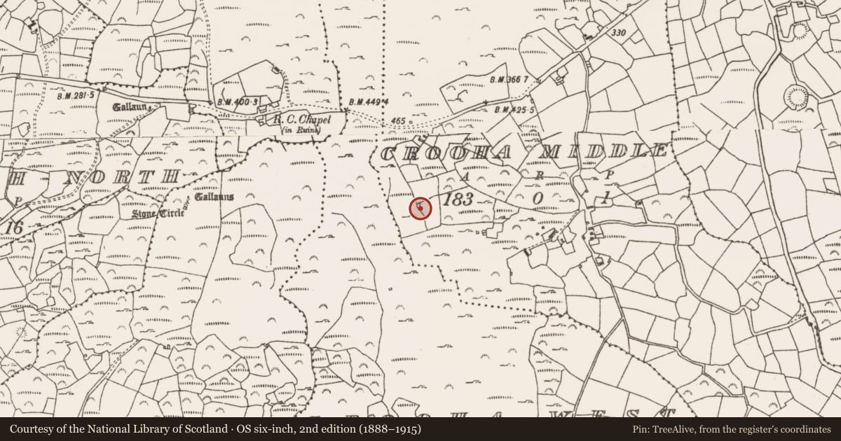 Ordnance Survey six-inch map, 2nd edition (1888–1915) covering the location of Ringfort - cashel, Crooha Middle, County Cork, with a pin at the register's coordinates