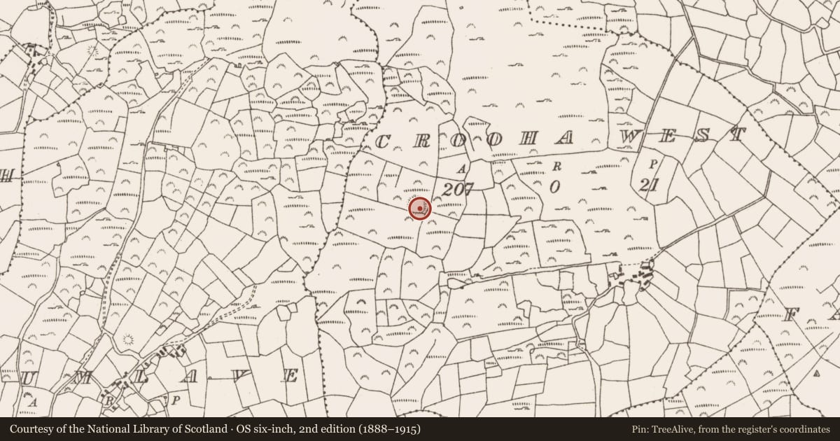 Ordnance Survey six-inch map, 2nd edition (1888–1915) covering the location of Ringfort - rath, Crooha West, County Cork, with a pin at the register's coordinates