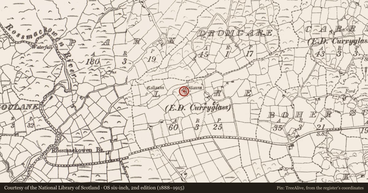 Ordnance Survey six-inch map, 2nd edition (1888–1915) covering the location of Standing stone, Lyre (Bear By., Killaconenagh Par.), County Cork, with a pin at the register's coordinates