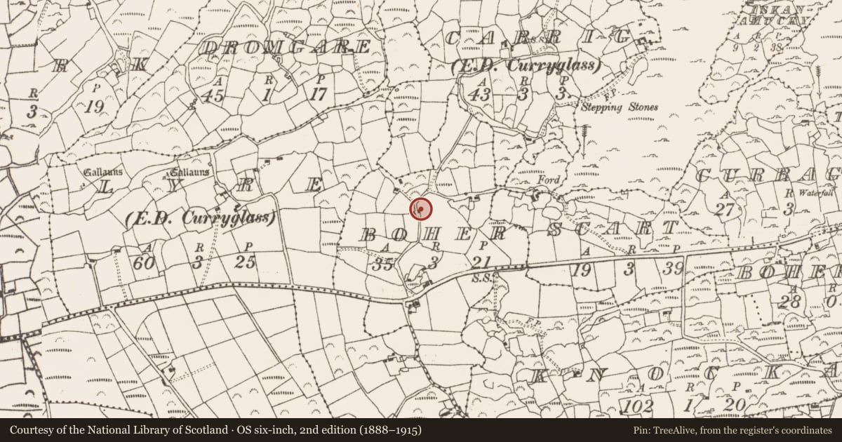 Ordnance Survey six-inch map, 2nd edition (1888–1915) covering the location of Anomalous stone group, Boher, County Cork, with a pin at the register's coordinates