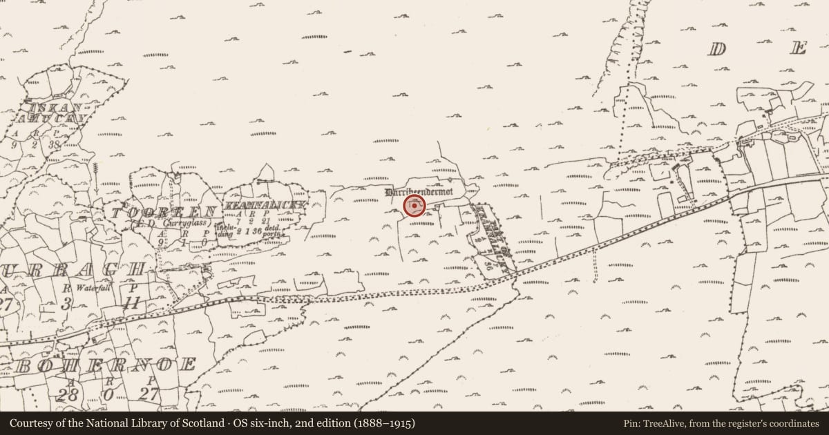 Ordnance Survey six-inch map, 2nd edition (1888–1915) covering the location of Standing stone, Rossmackowen Commons, County Cork, with a pin at the register's coordinates