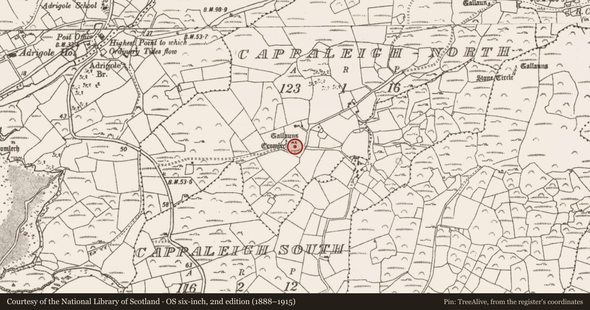Ordnance Survey six-inch map, 2nd edition (1888–1915) covering the location of Standing stone, Cappaleigh North, County Cork, with a pin at the register's coordinates