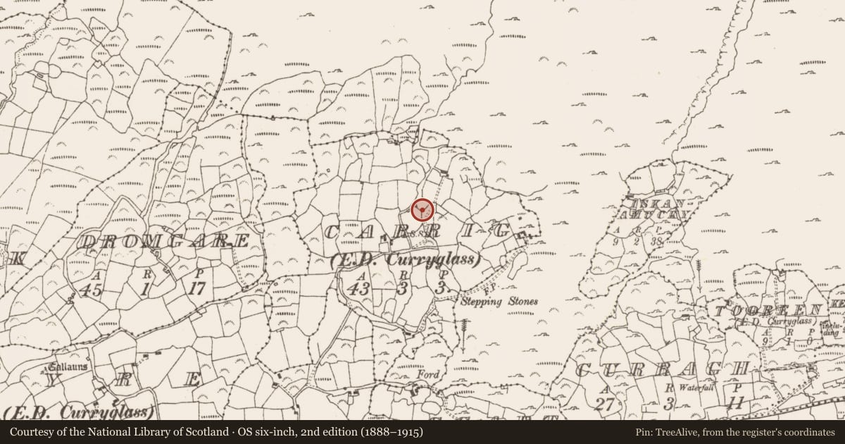 Ordnance Survey six-inch map, 2nd edition (1888–1915) covering the location of Standing stone, Carrig (Bear By., Killaconenagh Par.), County Cork, with a pin at the register's coordinates