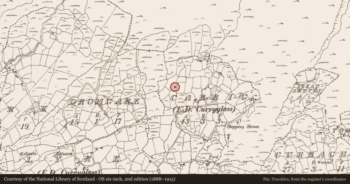 Ordnance Survey six-inch map, 2nd edition (1888–1915) covering the location of Standing stone, Carrig (Bear By., Killaconenagh Par.), County Cork, with a pin at the register's coordinates