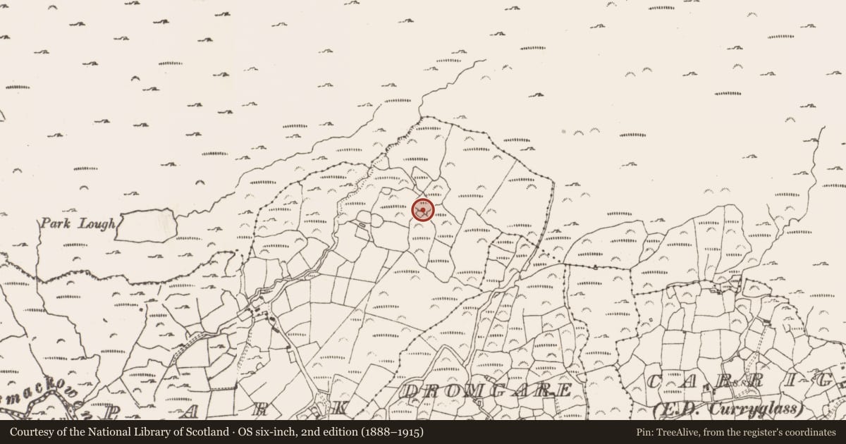 Ordnance Survey six-inch map, 2nd edition (1888–1915) covering the location of Settlement cluster, Park, County Cork, with a pin at the register's coordinates