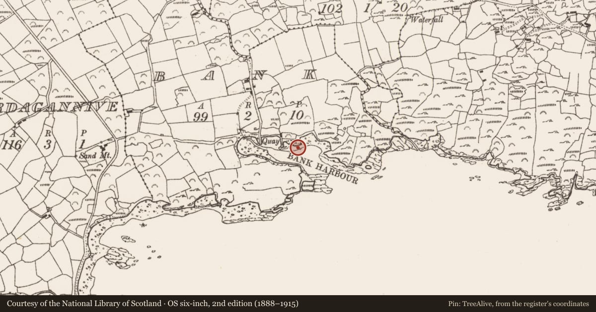 Ordnance Survey six-inch map, 2nd edition (1888–1915) covering the location of Mass-rock, Bank, County Cork, with a pin at the register's coordinates