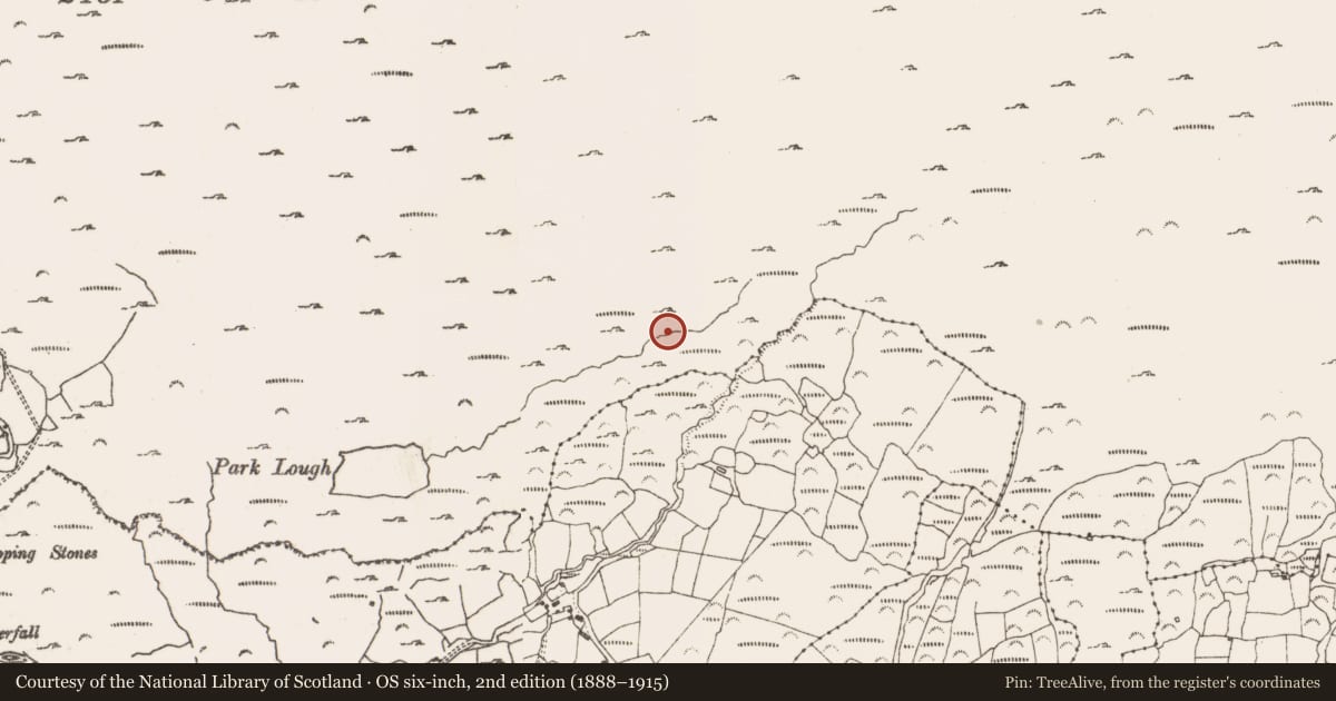 Ordnance Survey six-inch map, 2nd edition (1888–1915) covering the location of Fulacht fia, Rossmackowen Commons, County Cork, with a pin at the register's coordinates