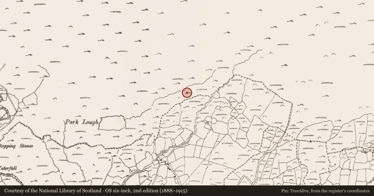 Ordnance Survey six-inch map, 2nd edition (1888–1915) covering the location of Field boundary, Rossmackowen Commons, County Cork, with a pin at the register's coordinates