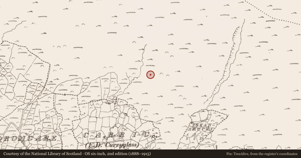 Ordnance Survey six-inch map, 2nd edition (1888–1915) covering the location of Fulacht fia, Rossmackowen Commons, County Cork, with a pin at the register's coordinates