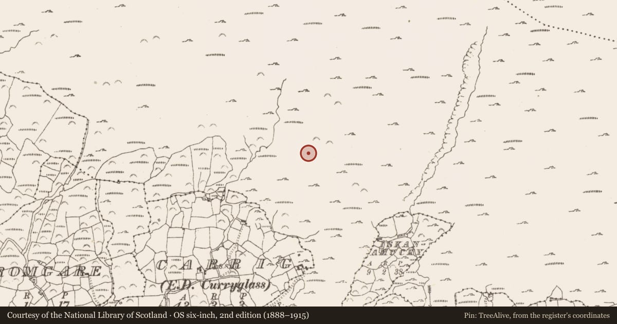 Ordnance Survey six-inch map, 2nd edition (1888–1915) covering the location of Enclosure, Rossmackowen Commons, County Cork, with a pin at the register's coordinates