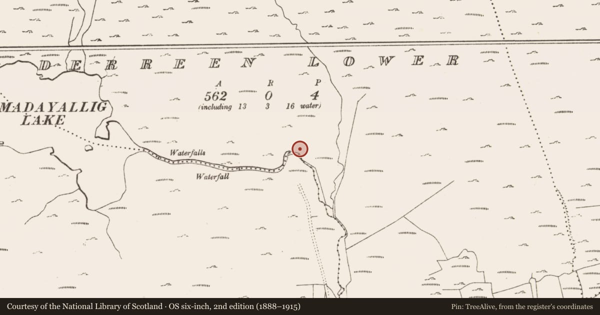 Ordnance Survey six-inch map, 2nd edition (1888–1915) covering the location of Hut site, Derreen Lower, County Cork, with a pin at the register's coordinates