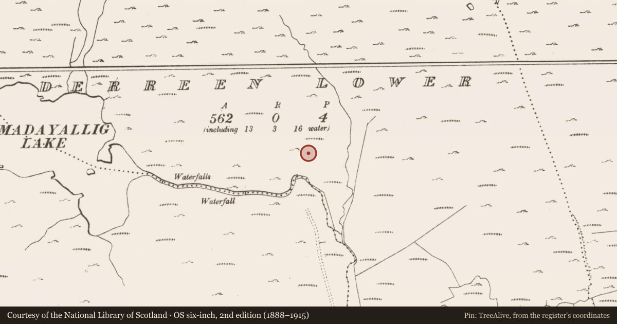 Ordnance Survey six-inch map, 2nd edition (1888–1915) covering the location of Enclosure, Derreen Lower, County Cork, with a pin at the register's coordinates