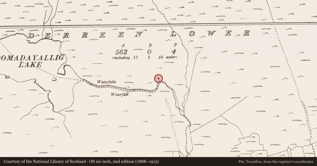 Ordnance Survey six-inch map, 2nd edition (1888–1915) covering the location of Enclosure, Derreen Lower, County Cork, with a pin at the register's coordinates