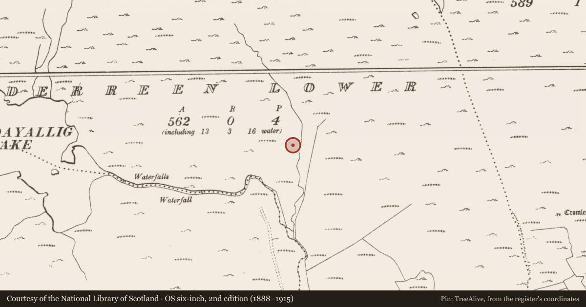Ordnance Survey six-inch map, 2nd edition (1888–1915) covering the location of Fulacht fia, Derreen Lower, County Cork, with a pin at the register's coordinates