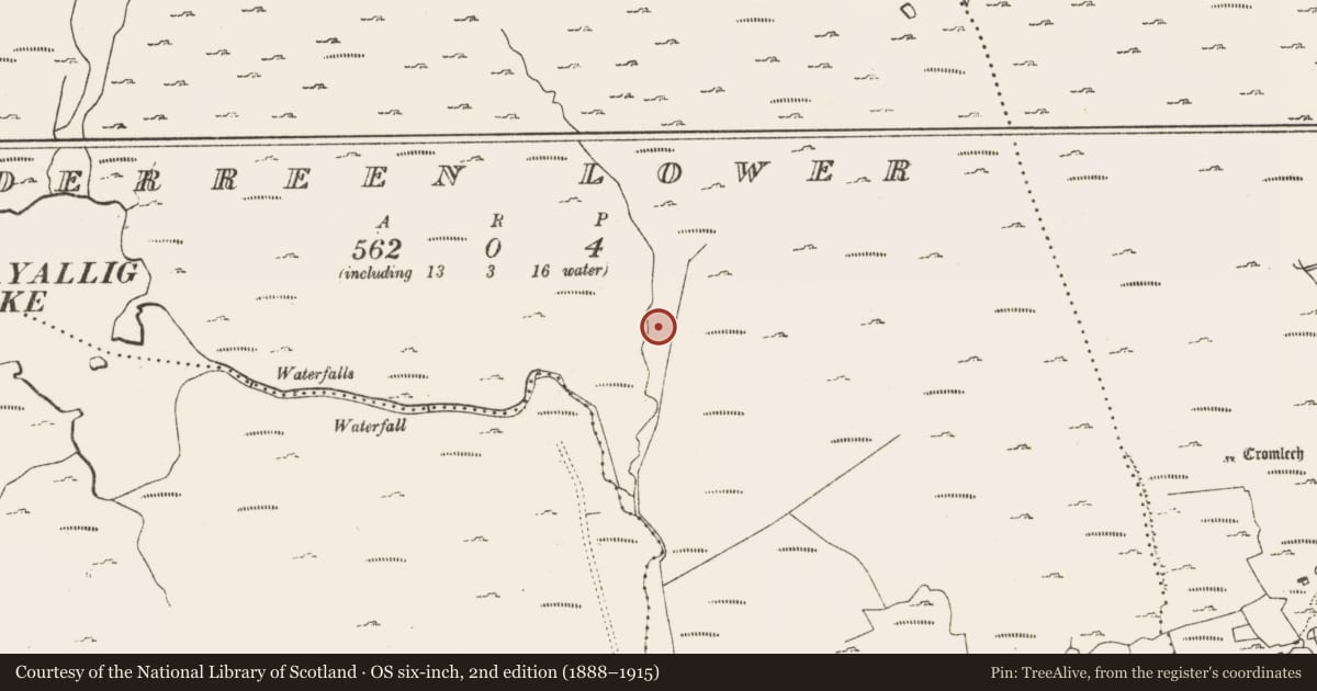 Ordnance Survey six-inch map, 2nd edition (1888–1915) covering the location of Enclosure, Derreen Lower, County Cork, with a pin at the register's coordinates
