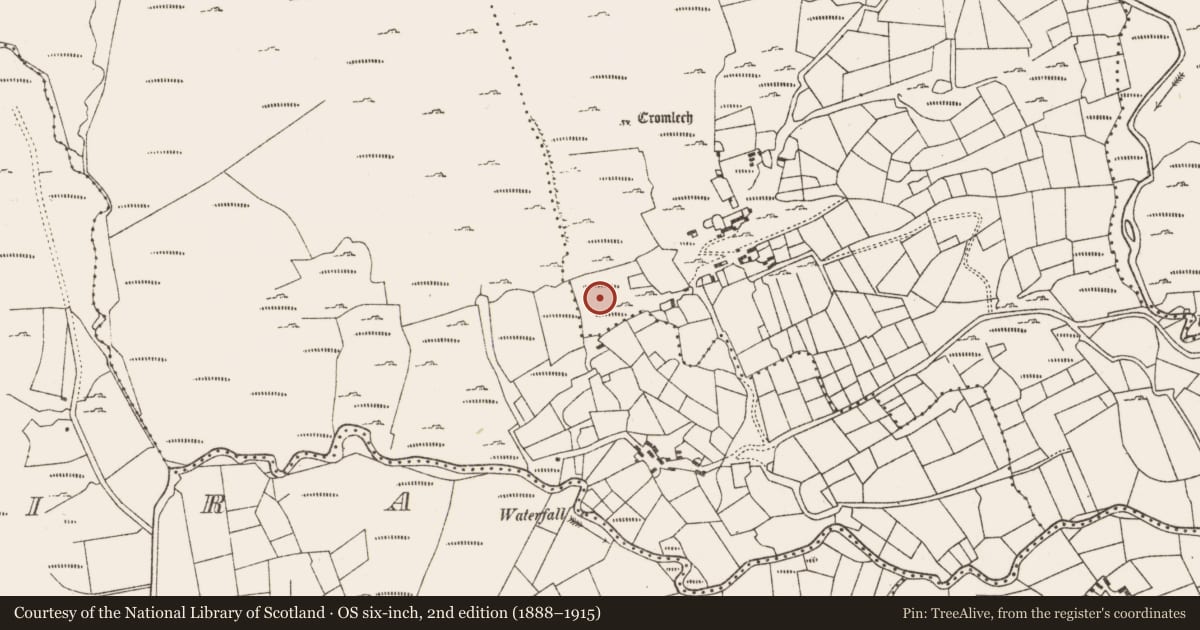 Ordnance Survey six-inch map, 2nd edition (1888–1915) covering the location of Children's burial ground, Derreen Upper, County Cork, with a pin at the register's coordinates