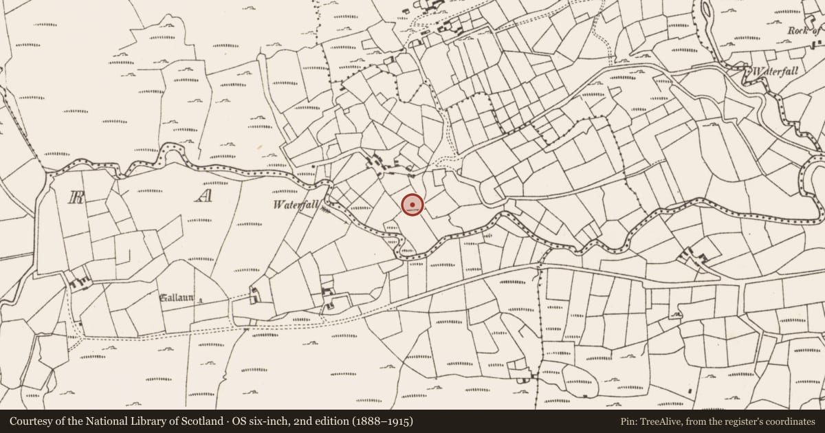 Ordnance Survey six-inch map, 2nd edition (1888–1915) covering the location of Standing stone, Derreen Lower, County Cork, with a pin at the register's coordinates