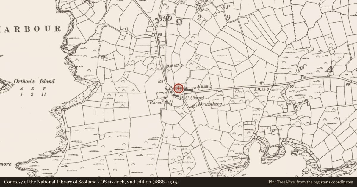 Ordnance Survey six-inch map, 2nd edition (1888–1915) covering the location of Standing stone, Drumlave, County Cork, with a pin at the register's coordinates
