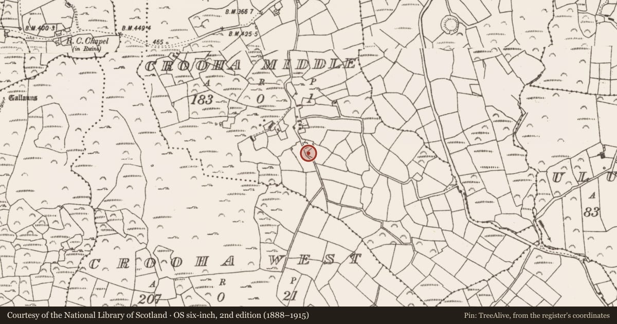 Ordnance Survey six-inch map, 2nd edition (1888–1915) covering the location of Souterrain, Crooha Middle, County Cork, with a pin at the register's coordinates