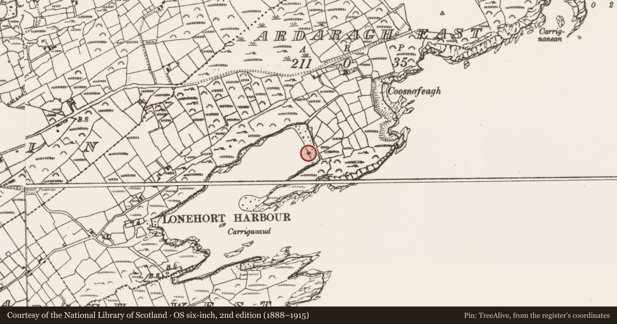 Ordnance Survey six-inch map, 2nd edition (1888–1915) covering the location of Pier/Jetty, Ardaragh East, County Cork, with a pin at the register's coordinates