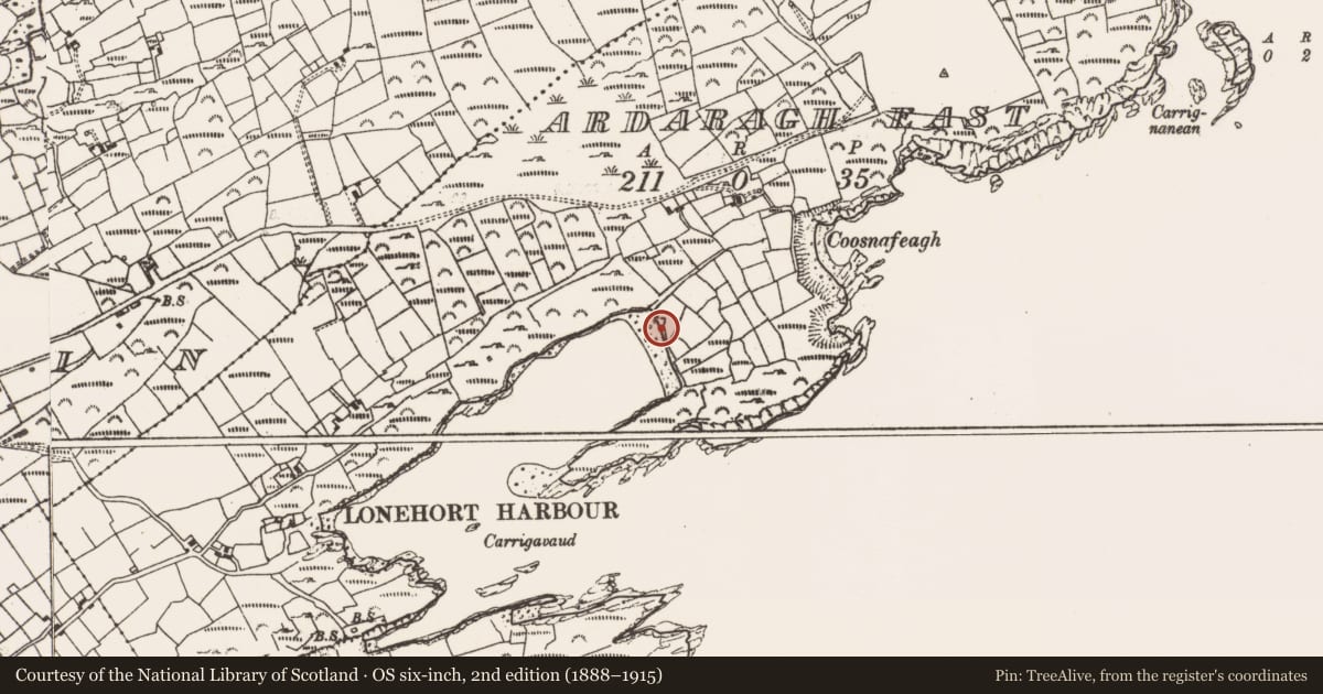 Ordnance Survey six-inch map, 2nd edition (1888–1915) covering the location of Naust, Ardaragh East, County Cork, with a pin at the register's coordinates
