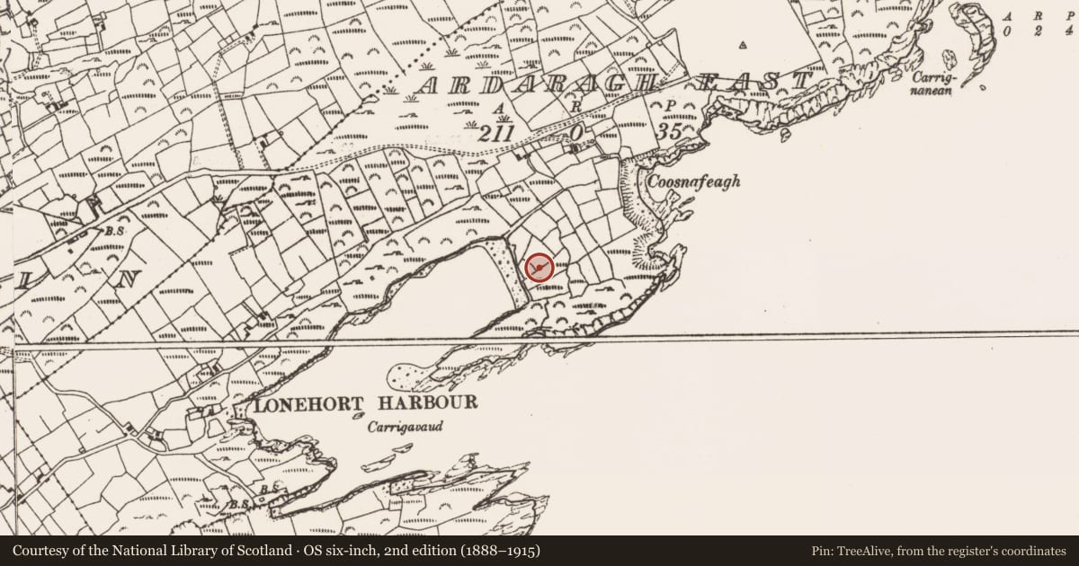 Ordnance Survey six-inch map, 2nd edition (1888–1915) covering the location of Hut site, Ardaragh East, County Cork, with a pin at the register's coordinates
