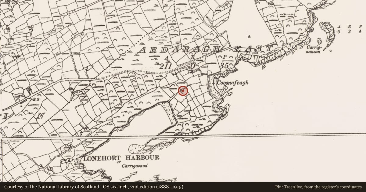 Ordnance Survey six-inch map, 2nd edition (1888–1915) covering the location of Earthwork, Ardaragh East, County Cork, with a pin at the register's coordinates
