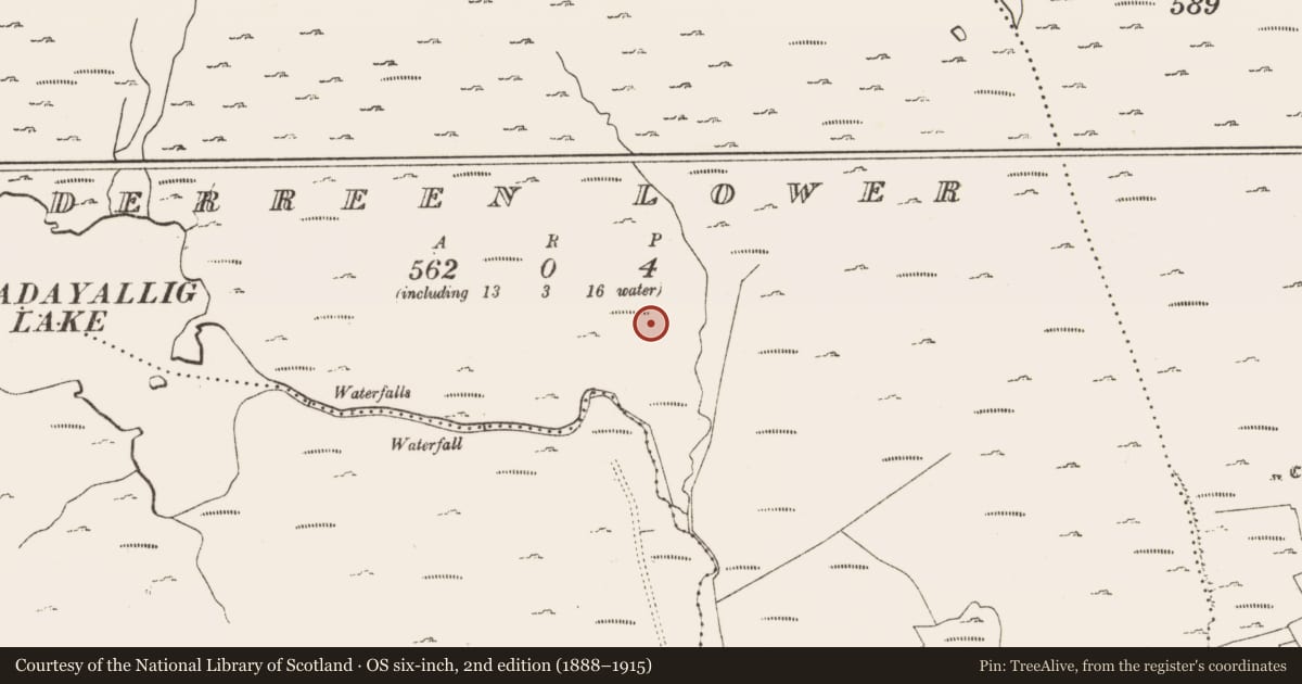 Ordnance Survey six-inch map, 2nd edition (1888–1915) covering the location of Enclosure, Derreen Lower, County Cork, with a pin at the register's coordinates