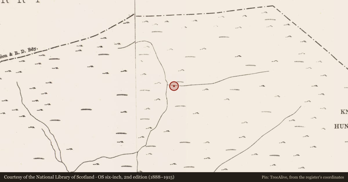 Ordnance Survey six-inch map, 2nd edition (1888–1915) covering the location of Hut site, Rossmackowen Commons, County Cork, with a pin at the register's coordinates