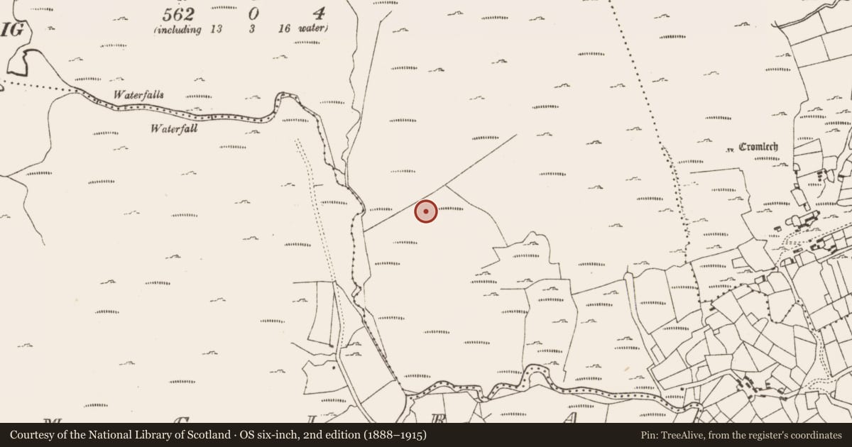 Ordnance Survey six-inch map, 2nd edition (1888–1915) covering the location of Charcoal-making site, Derreen Lower, County Cork, with a pin at the register's coordinates
