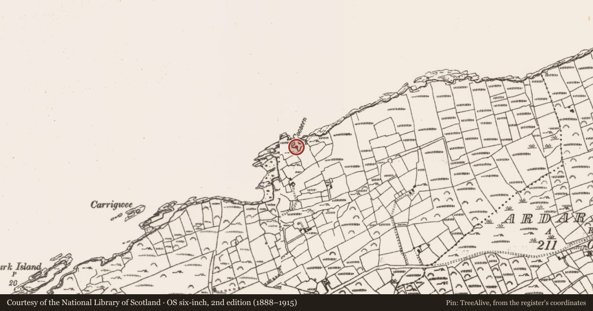 Ordnance Survey six-inch map, 2nd edition (1888–1915) covering the location of Pier/Jetty, Rerrin, County Cork, with a pin at the register's coordinates