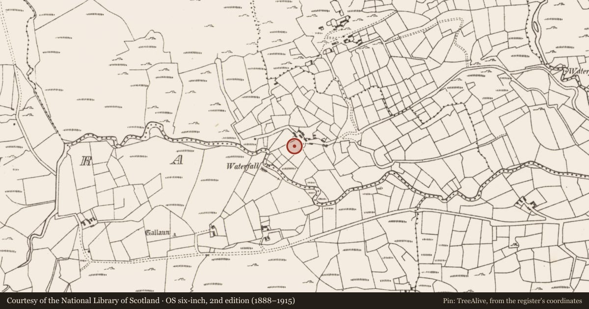 Ordnance Survey six-inch map, 2nd edition (1888–1915) covering the location of Standing stone (present location), Derreen Lower, County Cork, with a pin at the register's coordinates