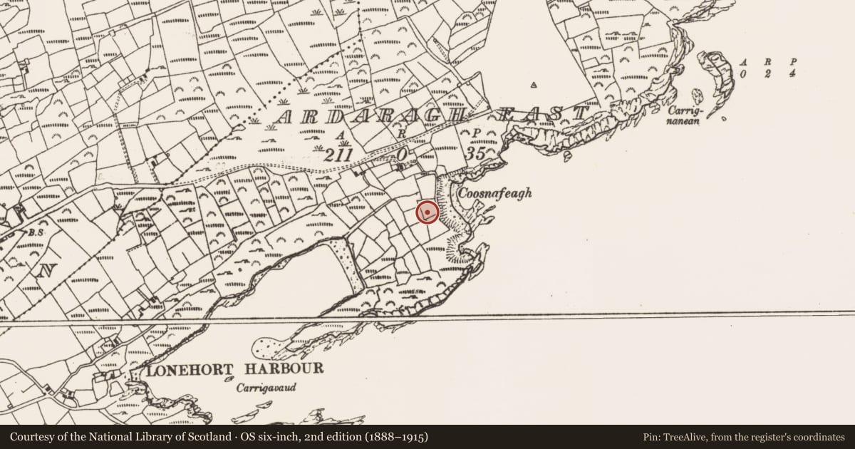 Ordnance Survey six-inch map, 2nd edition (1888–1915) covering the location of Standing stone, Ardaragh East, County Cork, with a pin at the register's coordinates