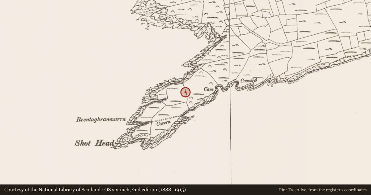 Ordnance Survey six-inch map, 2nd edition (1888–1915) covering the location of Promontory fort - coastal, Roosk, County Cork, with a pin at the register's coordinates