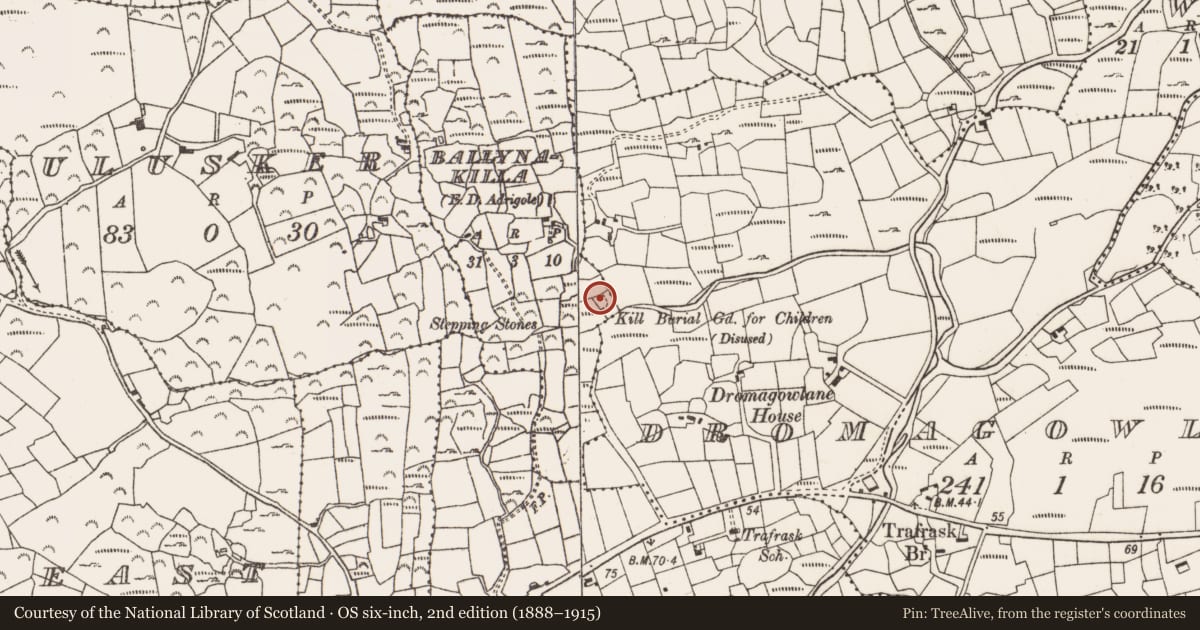 Ordnance Survey six-inch map, 2nd edition (1888–1915) covering the location of Burial ground, Ballynakilla (Barrymore By., Ballycurrany Par.), County Cork, with a pin at the register's coordinates