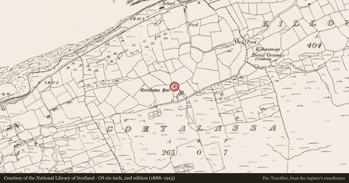 Ordnance Survey six-inch map, 2nd edition (1888–1915) covering the location of Ringfort - rath, Gortalassa, County Cork, with a pin at the register's coordinates