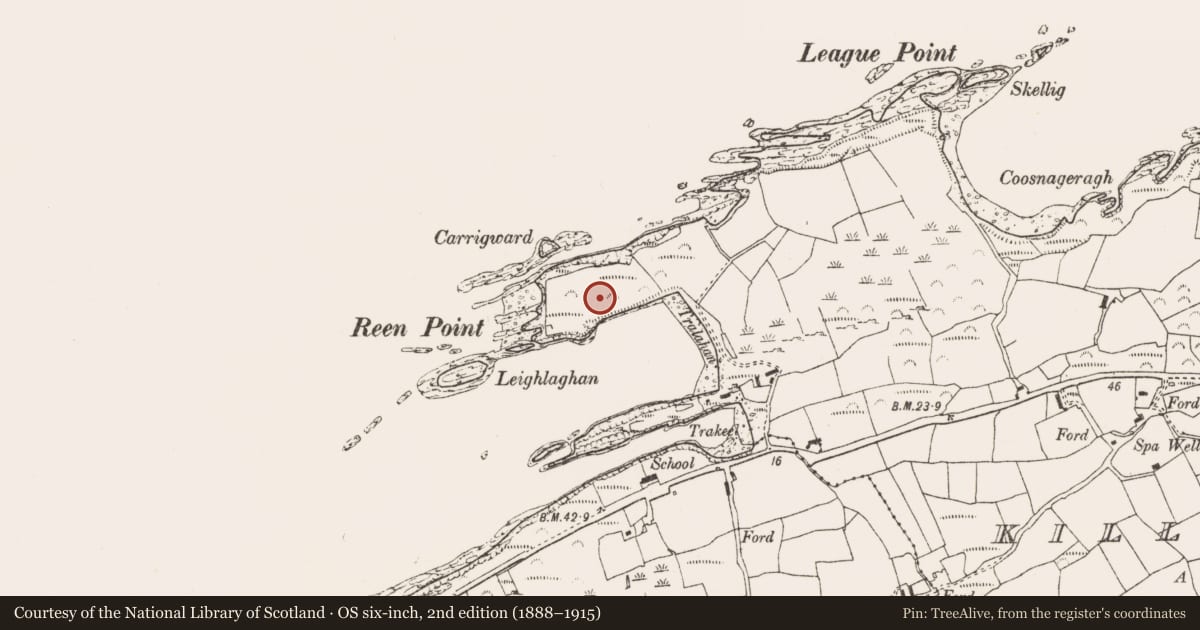 Ordnance Survey six-inch map, 2nd edition (1888–1915) covering the location of Promontory fort - coastal, Killoveenoge, County Cork, with a pin at the register's coordinates