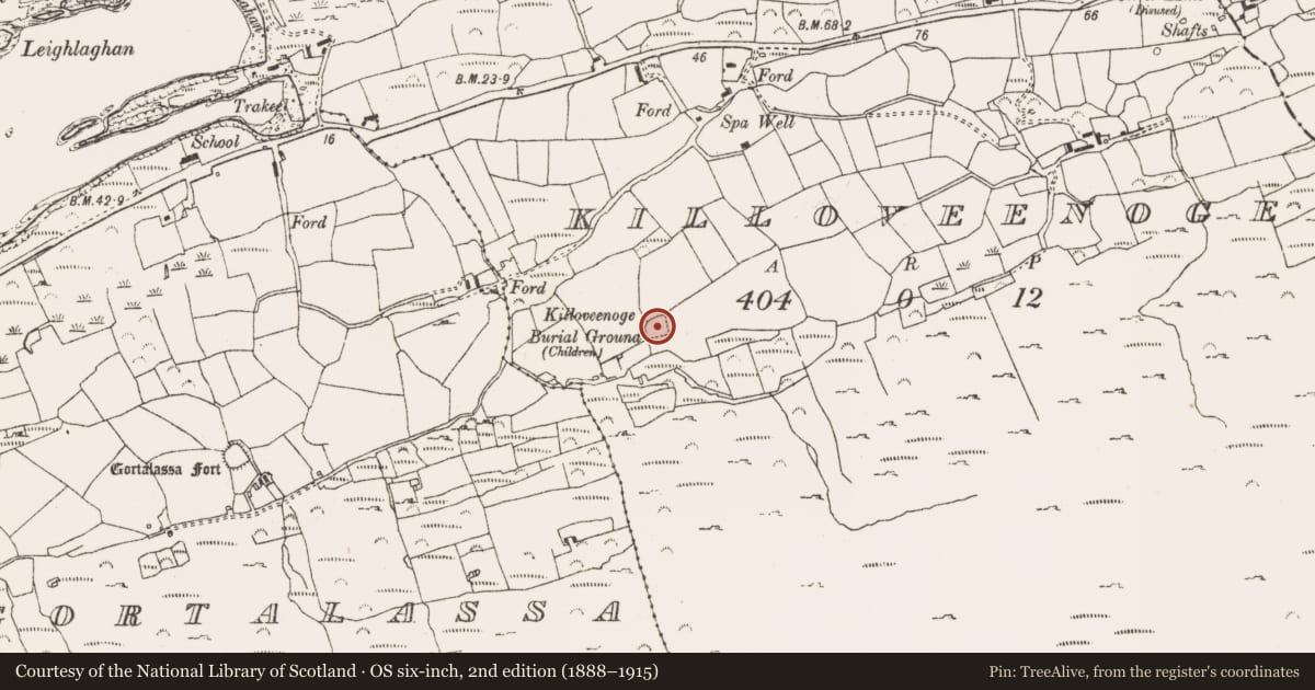 Ordnance Survey six-inch map, 2nd edition (1888–1915) covering the location of Burial ground, Killoveenoge, County Cork, with a pin at the register's coordinates