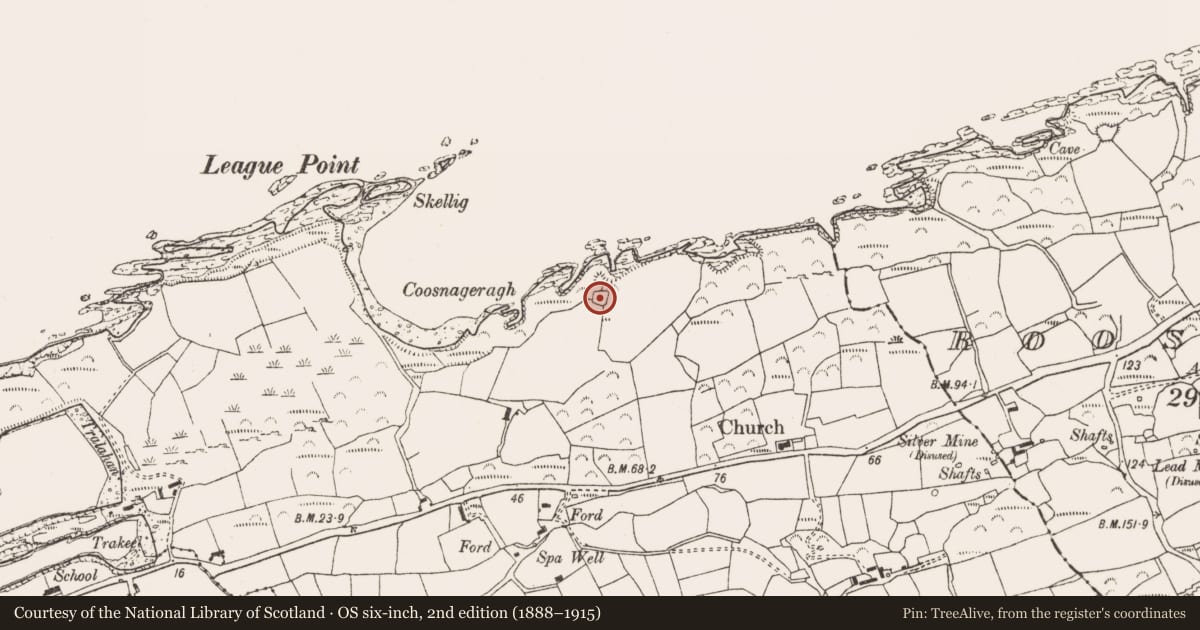 Ordnance Survey six-inch map, 2nd edition (1888–1915) covering the location of Ringfort - rath, Killoveenoge, County Cork, with a pin at the register's coordinates