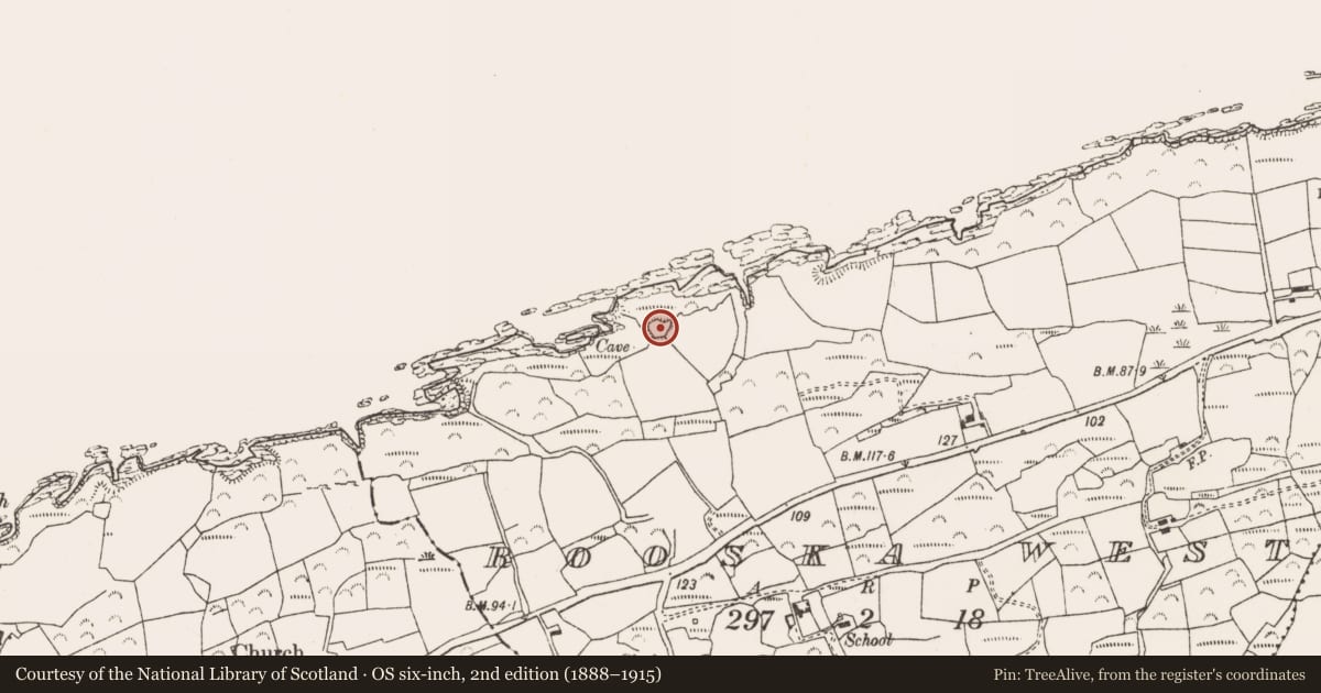 Ordnance Survey six-inch map, 2nd edition (1888–1915) covering the location of Ringfort - rath, Rooska West, County Cork, with a pin at the register's coordinates