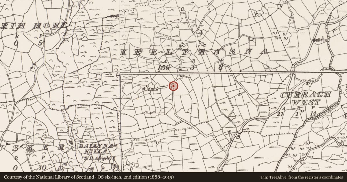 Ordnance Survey six-inch map, 2nd edition (1888–1915) covering the location of Standing stone, Keeltrasna, County Cork, with a pin at the register's coordinates