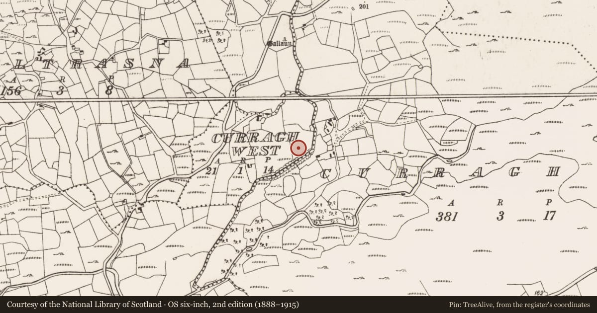 Ordnance Survey six-inch map, 2nd edition (1888–1915) covering the location of Ringfort - rath, Curragh West, County Cork, with a pin at the register's coordinates