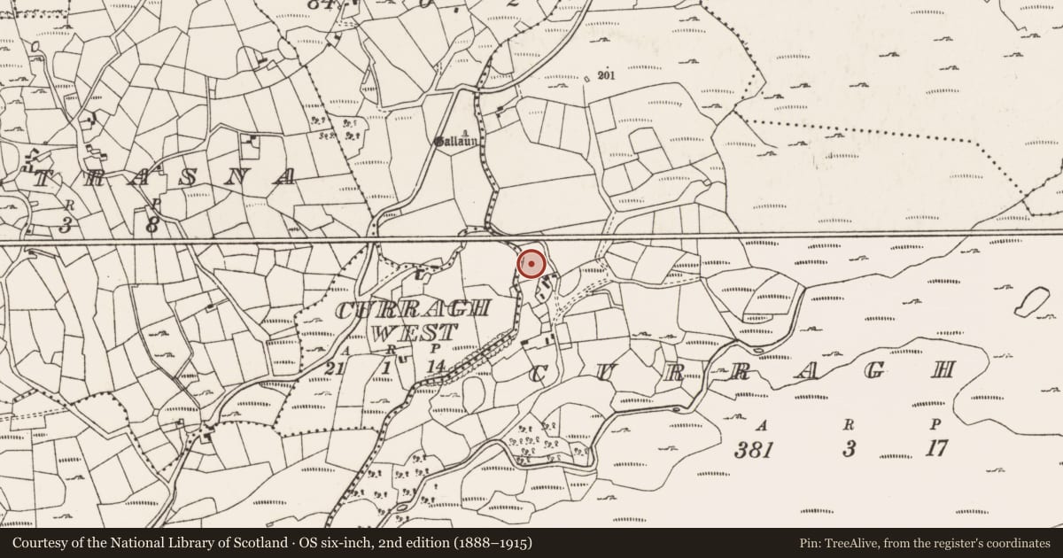 Ordnance Survey six-inch map, 2nd edition (1888–1915) covering the location of Ringfort - rath, Curragh East, County Cork, with a pin at the register's coordinates