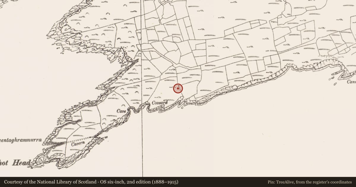 Ordnance Survey six-inch map, 2nd edition (1888–1915) covering the location of Children's burial ground, Roosk, County Cork, with a pin at the register's coordinates