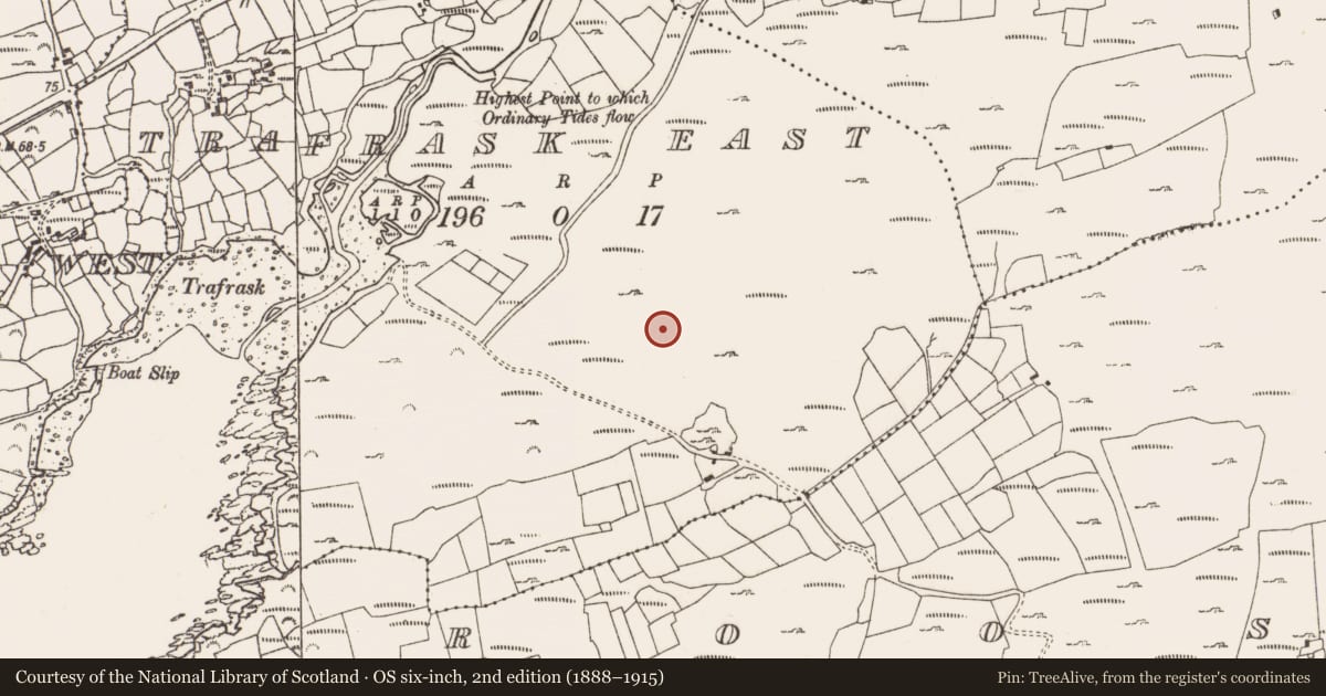 Ordnance Survey six-inch map, 2nd edition (1888–1915) covering the location of Bullaun stone, Trafrask East, County Cork, with a pin at the register's coordinates