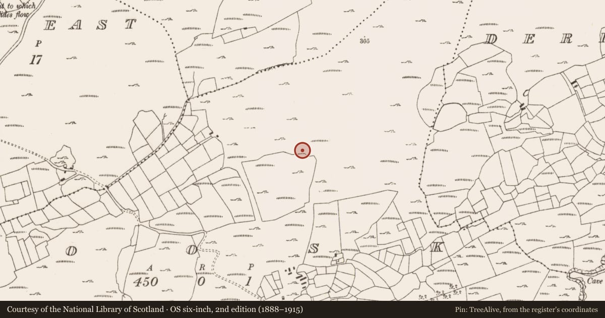 Ordnance Survey six-inch map, 2nd edition (1888–1915) covering the location of Bullaun stone, Roosk, County Cork, with a pin at the register's coordinates