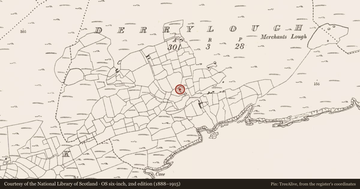 Ordnance Survey six-inch map, 2nd edition (1888–1915) covering the location of Penitential station, Derrylough, County Cork, with a pin at the register's coordinates