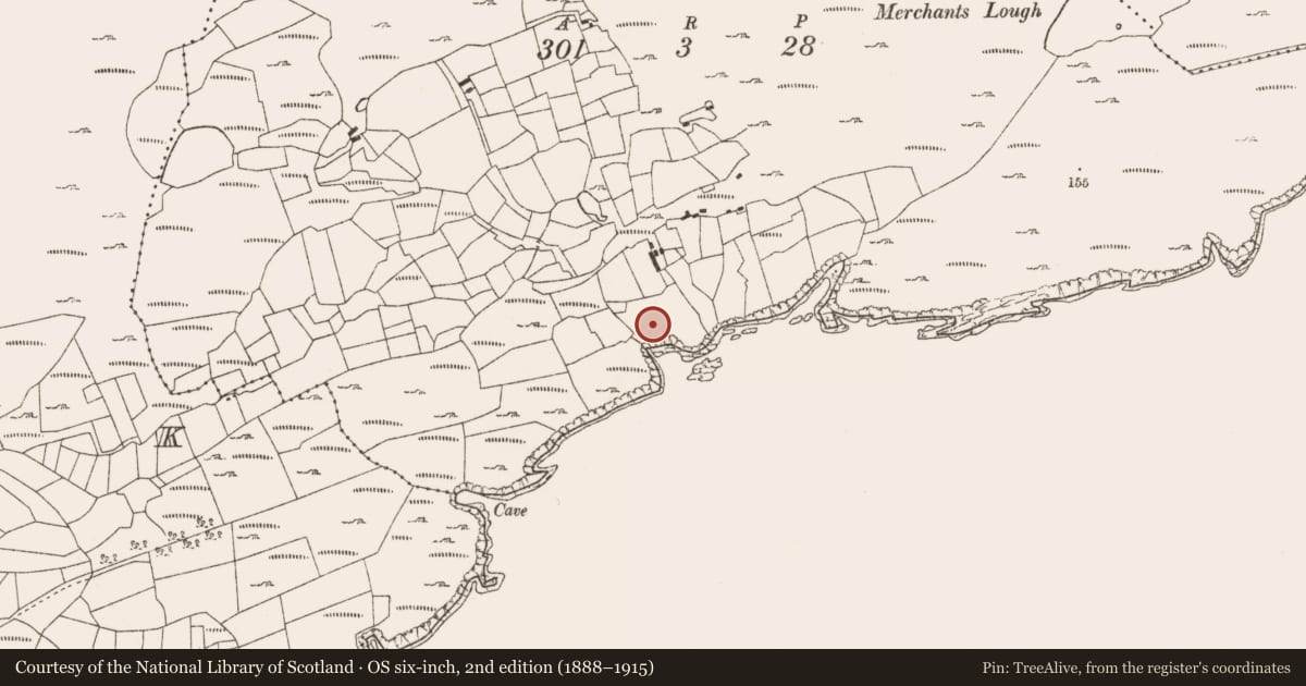 Ordnance Survey six-inch map, 2nd edition (1888–1915) covering the location of Children's burial ground, Derrylough, County Cork, with a pin at the register's coordinates