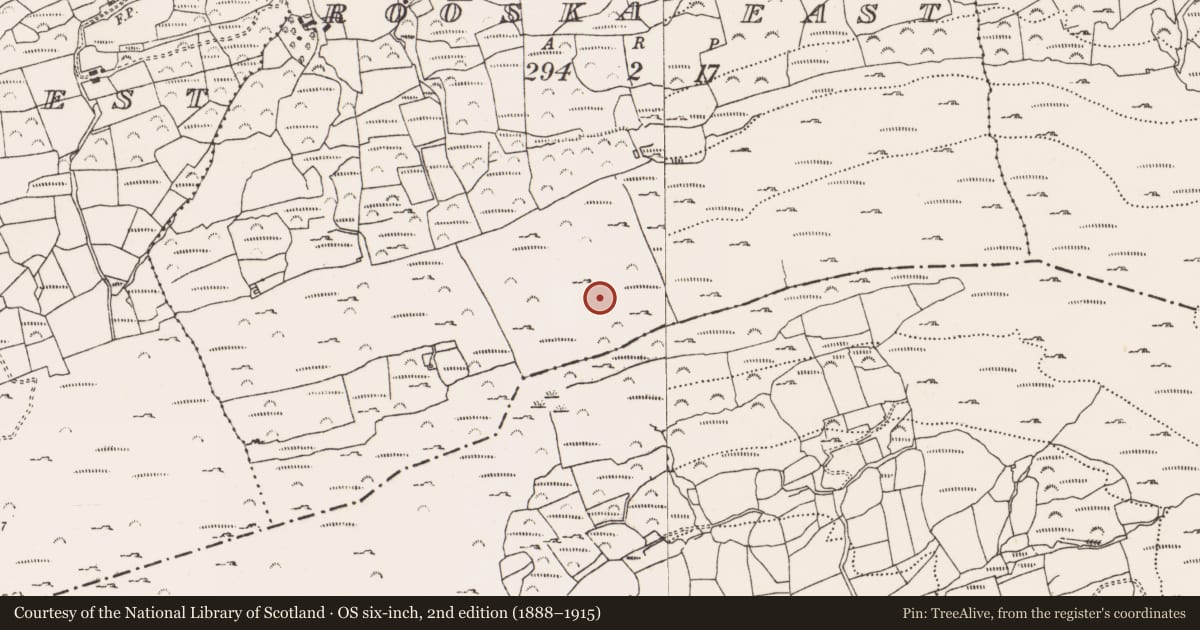 Ordnance Survey six-inch map, 2nd edition (1888–1915) covering the location of Standing stone, Rooska East, County Cork, with a pin at the register's coordinates