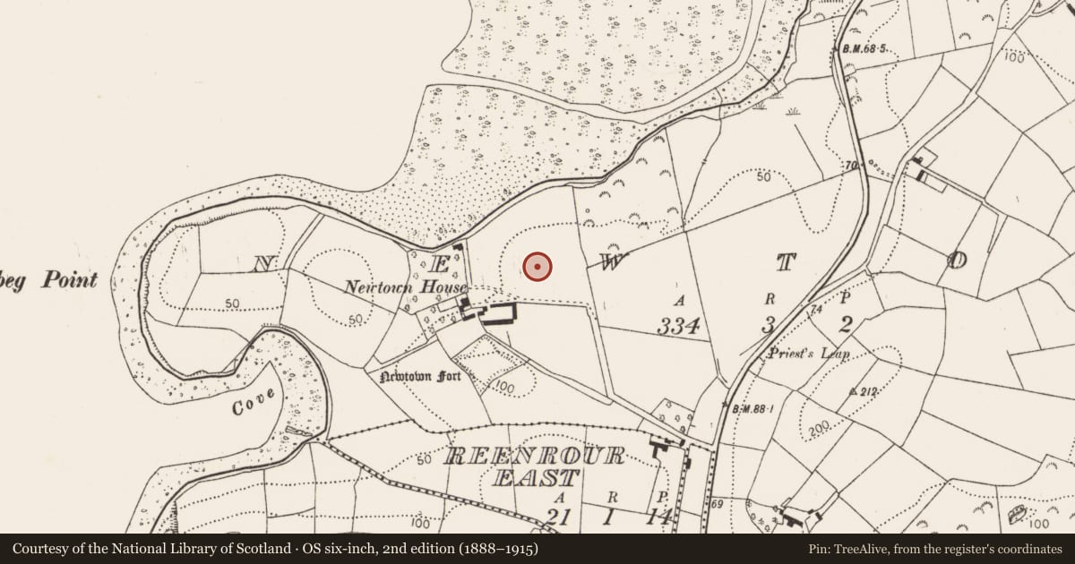 Ordnance Survey six-inch map, 2nd edition (1888–1915) covering the location of Enclosure, Newtown, County Cork, with a pin at the register's coordinates